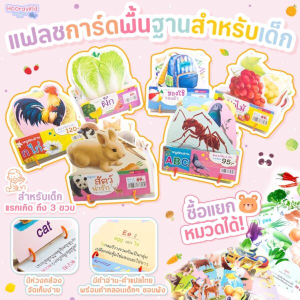 แฟลชการ์ดพื้นฐานสำหรับเด็ก มี 6หมวด Flashcard กไก่ ABC 123 ผัก ผลไม้ สัตว์ มีห่วงคล้อง ใช้ง่าย เก็บสะดวก การ์ดคำศัพท์