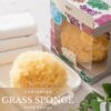 KALLA SPONGE ฟองน้ำธรรมชาติ ชนิด Grass สีเหลือง สำหรับอาบน้ำ