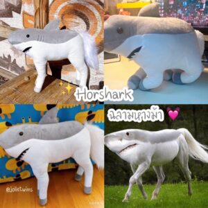 พร้อมส่ง  ตุ๊กตา ฉลามหางม้า Horshark ตลก เป็นไวรัลที่ดังมาก น่ารัก พร๊อพแต่งห้อง ของขวัญ 23043