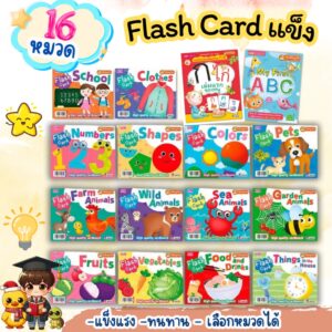 แฟลชการ์ดแข็ง กระดาษหนา 16 หมวดเลือกได้ Flash card  การ์ดแข็งฉีกไม่ขาด บัตรคำศัพท์ ใช้กับTalking pen ได้ เต่าซ่าส์ mis