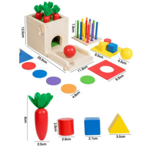 Wooden Montessori Toys Shape Sorter Object Permanence Box 5 in 1 Coin Box for Kids Children Preschool Baby Infants Boys