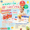 แฟลชการ์ดกล่อง (กล่องน้ำเงิน/แดง/ม่วง/เขียว) First Words FlashCards - บัตรคำศัพท์