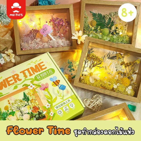 Mr.Toys Flower Time ชุดทำกล่องดอกไม้แห้ง | ของเล่นเสริมพัฒนาการ ของเล่นศิลปะ DIY