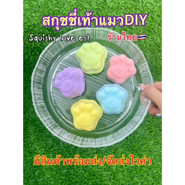 สกุชชี่เท้าแมวDiy ร้านไทย