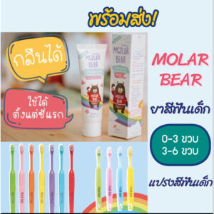 พร้อมส่ง  Molar Bear ยาสีฟันเด็ก กลืนได้ ฟลูออไรด์ 1000 PPM ใช้ได้ตั้งแต่ฟันซี่แรก แปรงสีฟันเด็ก (สูตร 0-12 ขวบ)